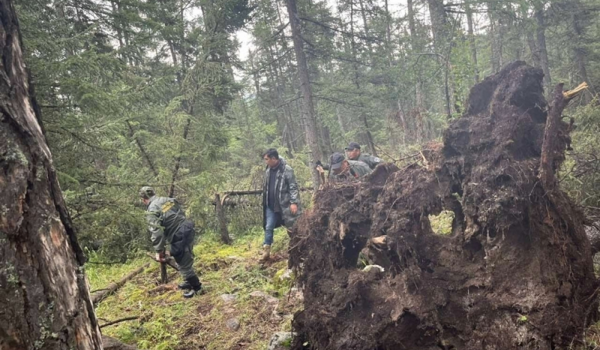 Bogd Khaan Mountain trails impacted by extreme weather conditions